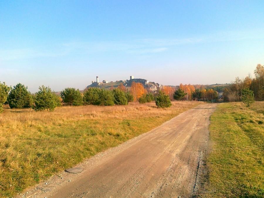 Listopadowy Olsztyn.