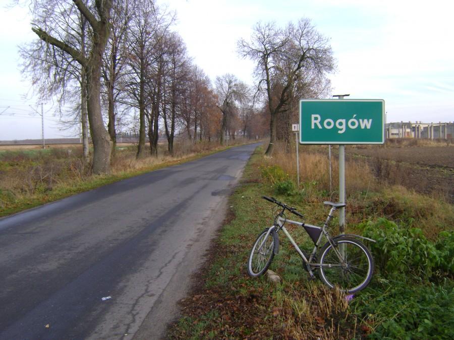 W Rogowie
