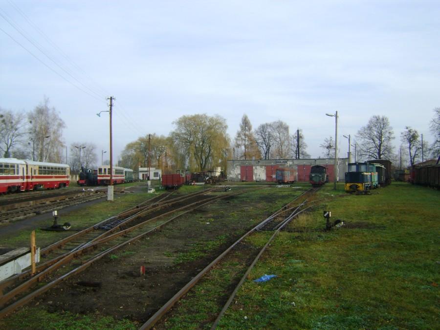 Stacja Rogów Towarowy Wąskotorowy