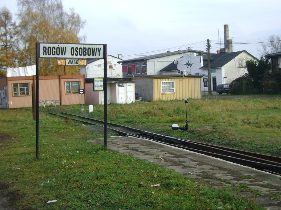 Przystanek Rogów Osobowy Wąskotorowy