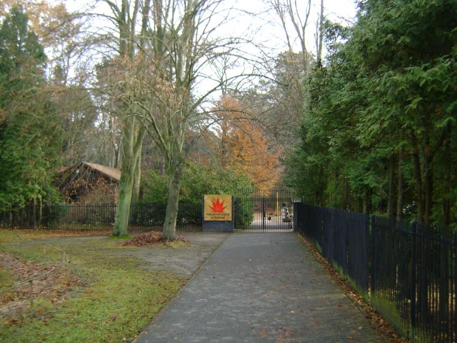 Arboretum SGGW w Rogowie