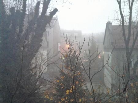 Smog wawelski