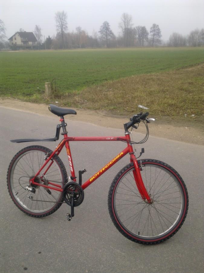 Pożyczak zimowy