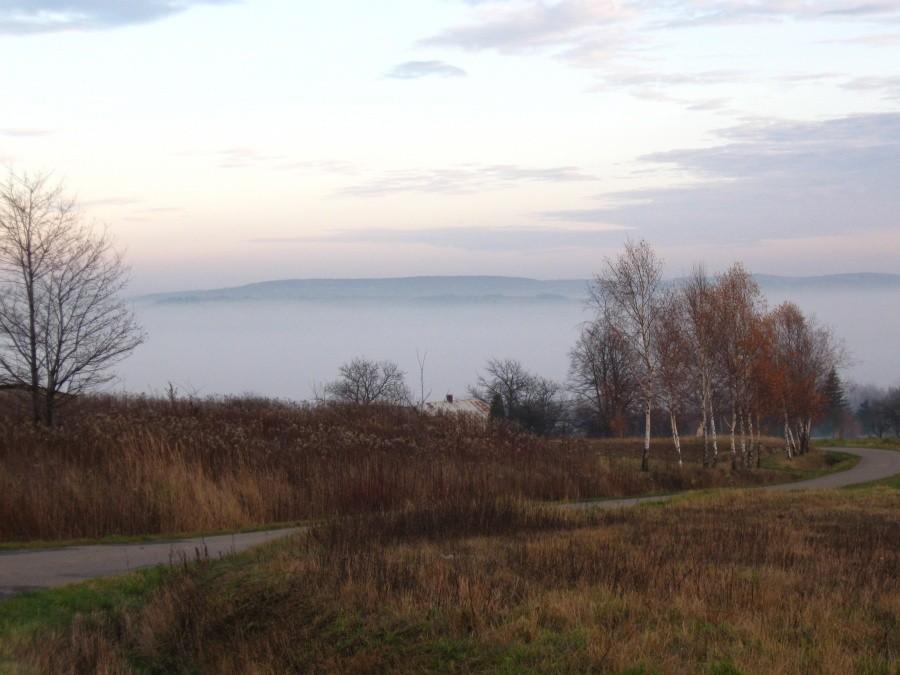 Mgliste klimaty.
