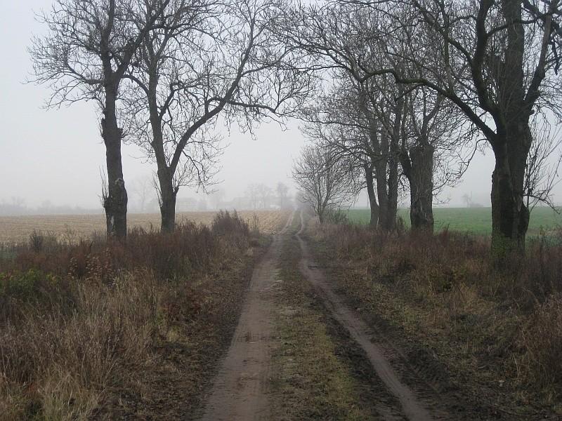 szaro i ponuro na polnej drodze z Krześlic do Łagiewnik
