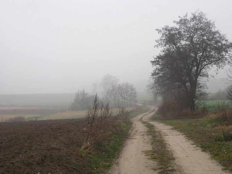 polna droga z Głębokiego do Podarzewa