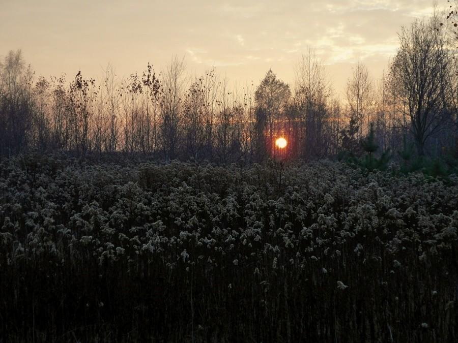 Las Lipie - zachód słońca