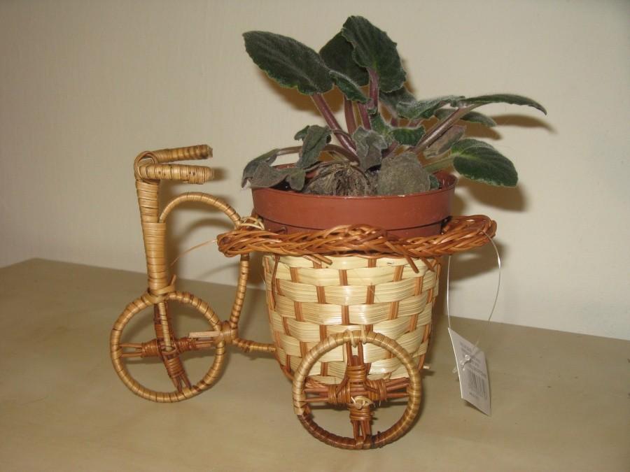 Rowerowy kwietnik