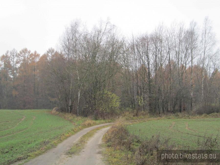 Droga prowadząca do wsi Ramleje.