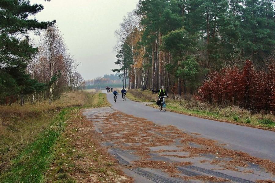Wracamy do domu.