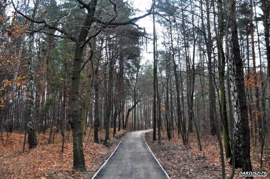 Sosnowiec Kazimierz - Park Jacka Kuronia