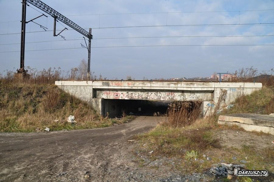 Po drodze coś dla Krasnali.........