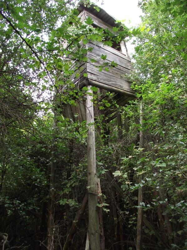 Waypoint #718 - ambona