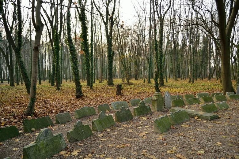 Lapidarium w parku im Rejtana w Łodzi