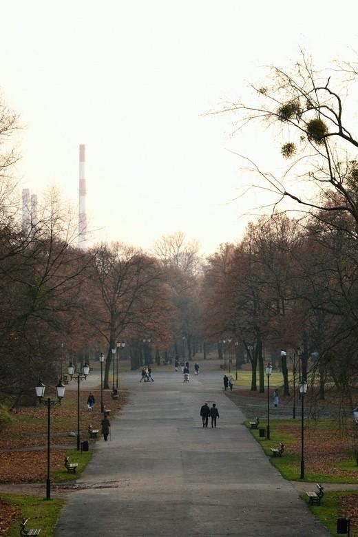 Park im. Mckiewicza w Łodzi