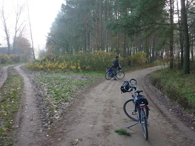 W kierunku Józefinki