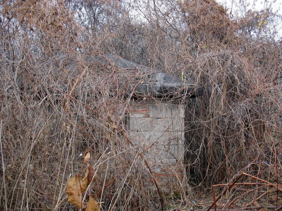 Gorzkiewki – domek w chaszczach