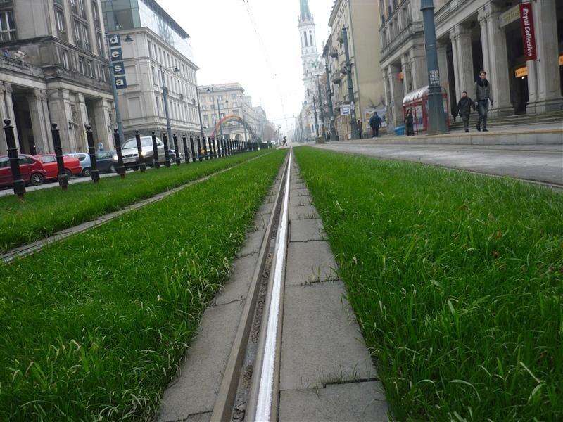 Zielona, prawdziwa trawa na torach w centrum miasta