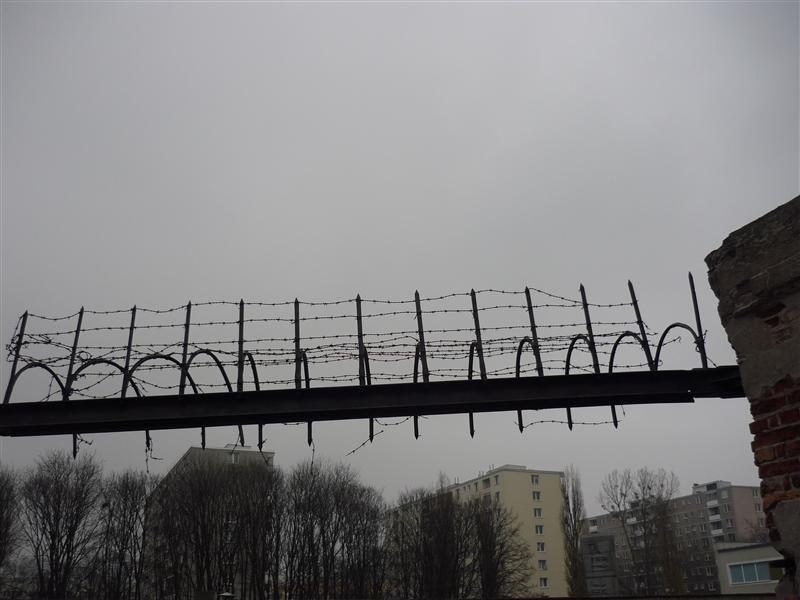 Bez tytułu:)