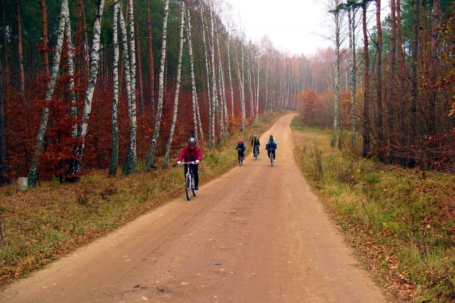 Rowerzyści w drodze….