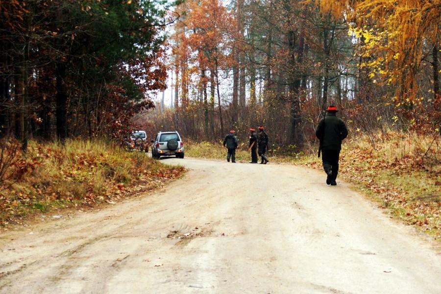 Przygotowania do – krwawych łowów…