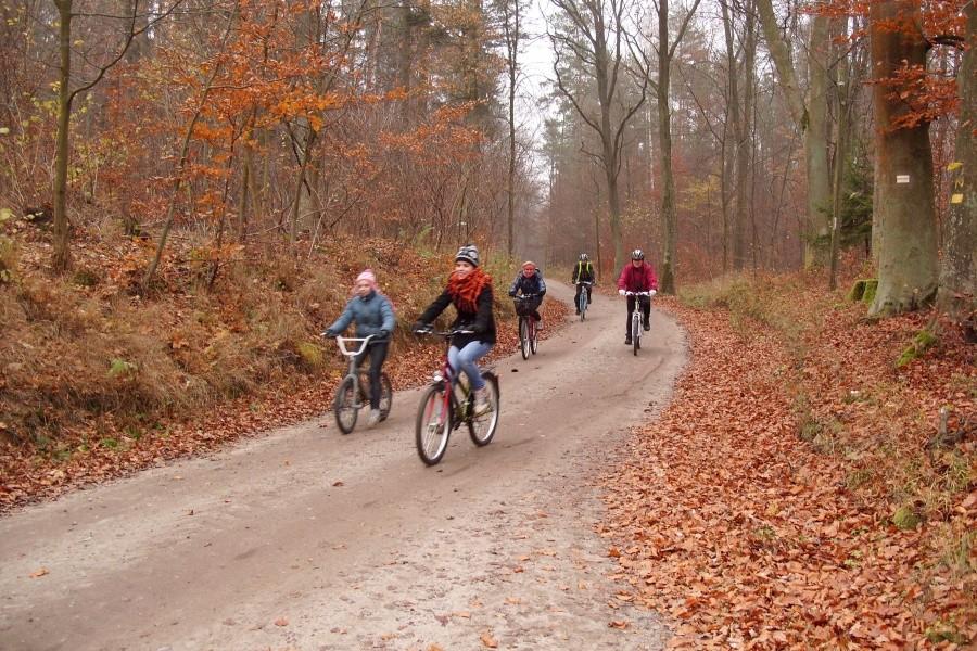 Rowerzyści w drodze
