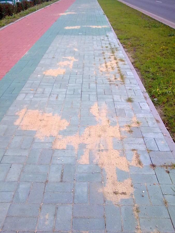 Droga rowerowa na Legionów I.