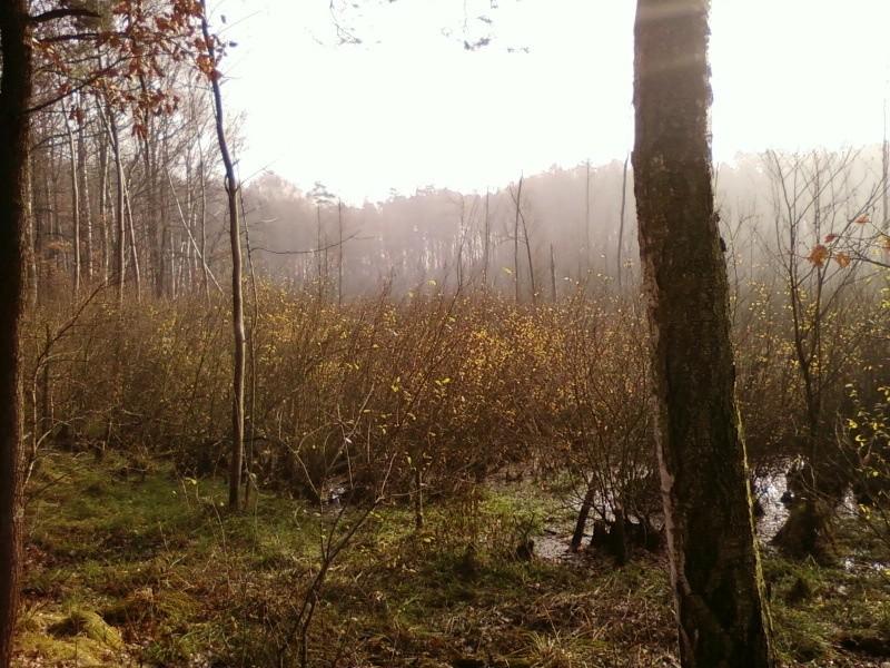 Uroczysko Smolarnia
