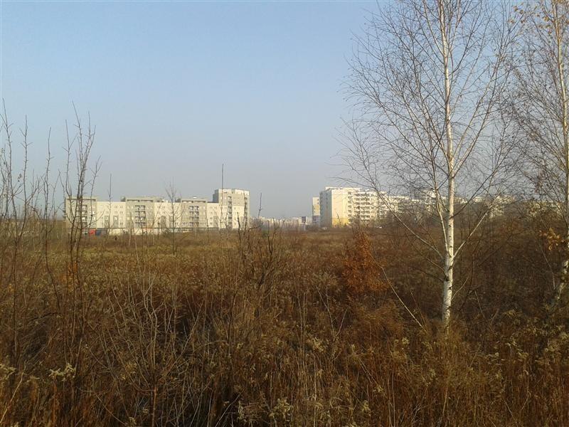 Ursynów od Lasu Kabackiego