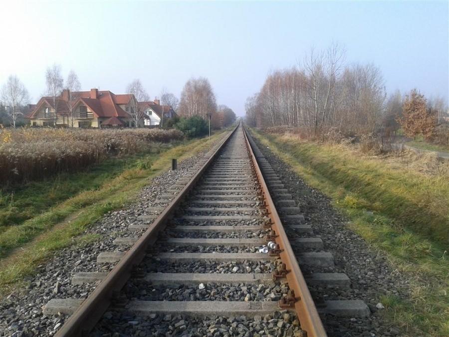 Prosto, jak strzelił!