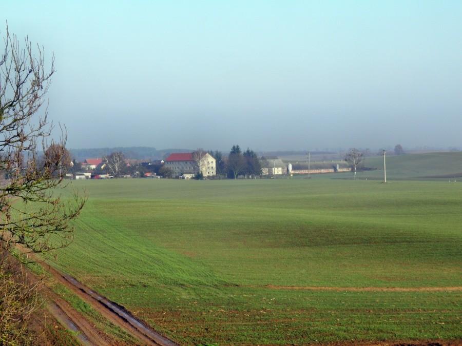 Widok z wieżyczki widokowej na zabudowania w Pampow.