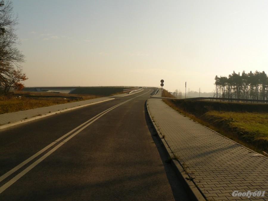Wiadukt nad A1 w Żernikach