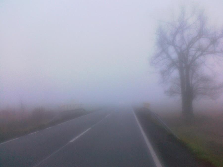 Gdzieś w pobliżu Skały