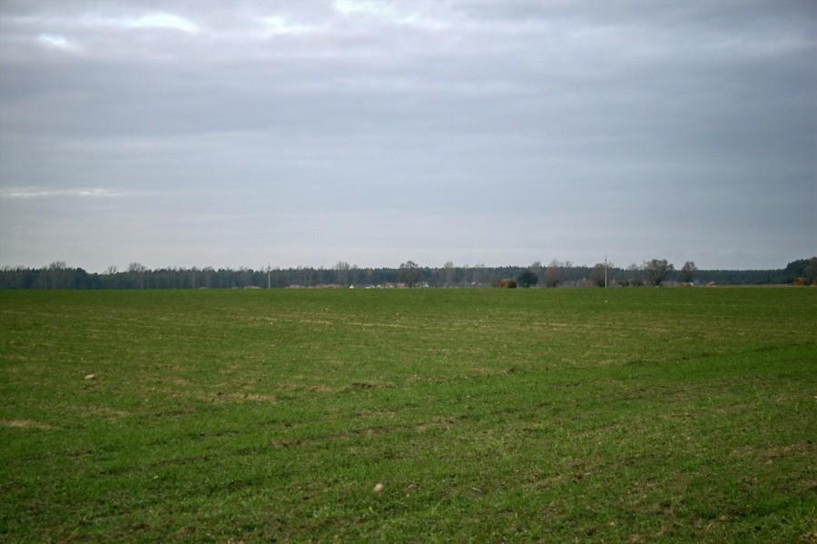 gdzieś w okolicach Jęczydołu
