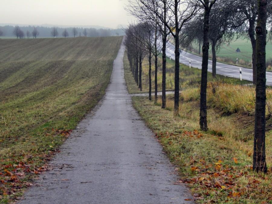 Ścieżka rowerowa tuż przed Löcknitz wzdluż szosy do granicy.