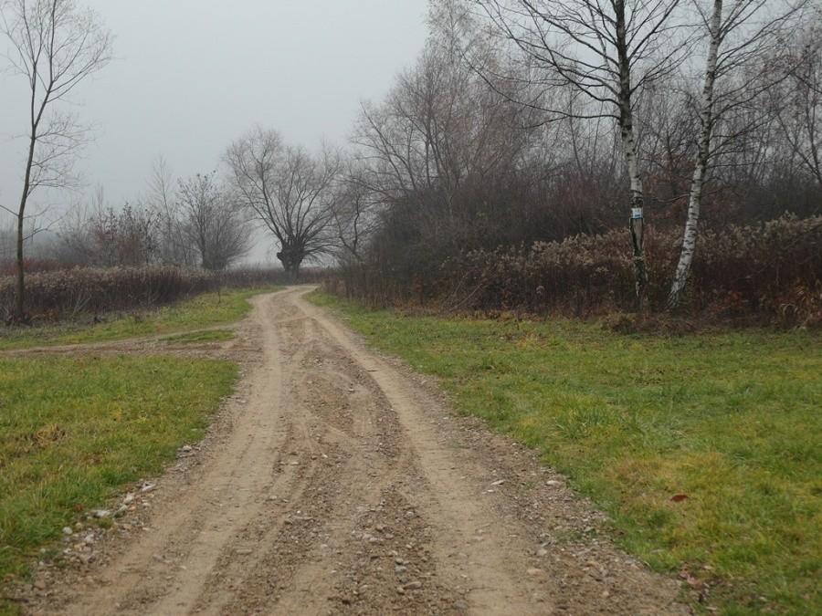 Niebieskim szlakiem nad Dunajcem