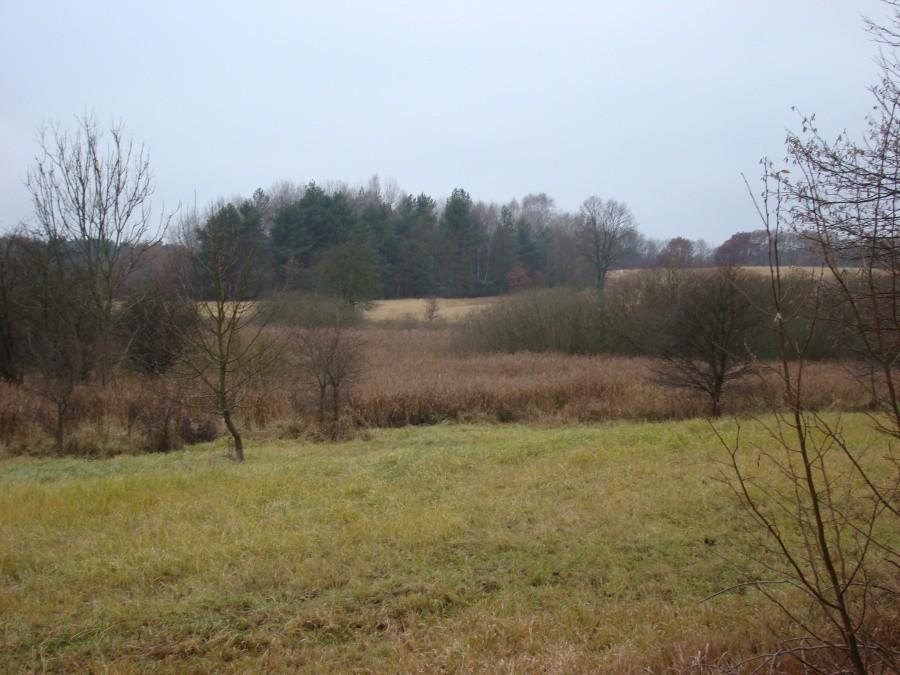 Wycieczka z Anią - Pilchowo ,Dobieszczyn ,Buk , Głębokie - 4