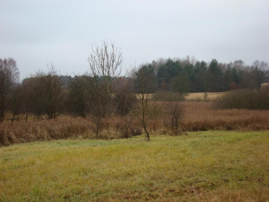 Wycieczka z Anią - Pilchowo ,Dobieszczyn ,Buk , Głębokie - 5