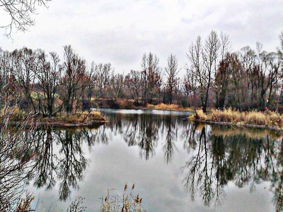 Stawy w okolicy Olzy. HDR