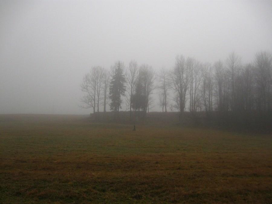 Cmentarz wojenny k. Krzywej.