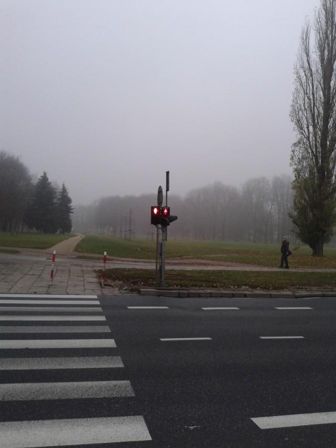 Ścieżka na Polach Mokotowskich po prostu mnie skusiła..