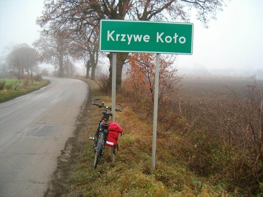 Niedzielne rowerowanie. Na drodze do wsi Krzywe Koło.