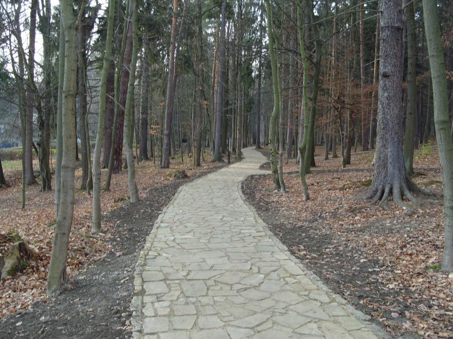 Początek nowej ścieżki prowadzącej do niedźwiedzia, świetnie się po tych nowych ścieżkach jeździ.