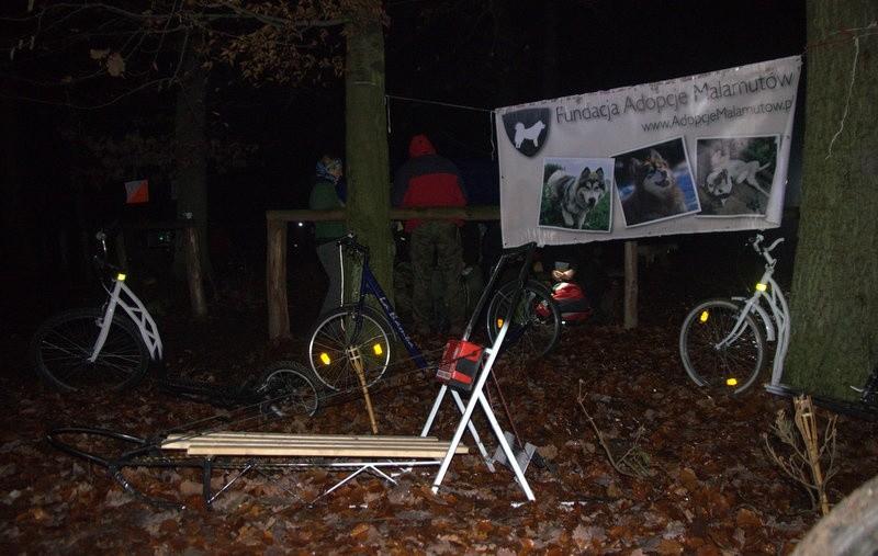 tylko psów jakoś mało
