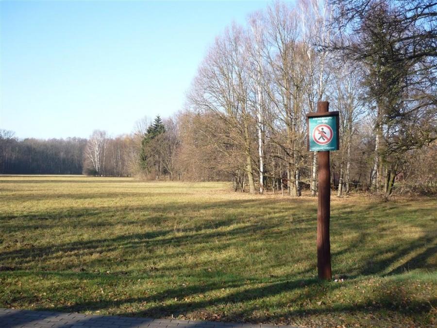 Zakaz wstępu na łąkę, podpisano-Lasy miejskie Warszawy. Park Młociny