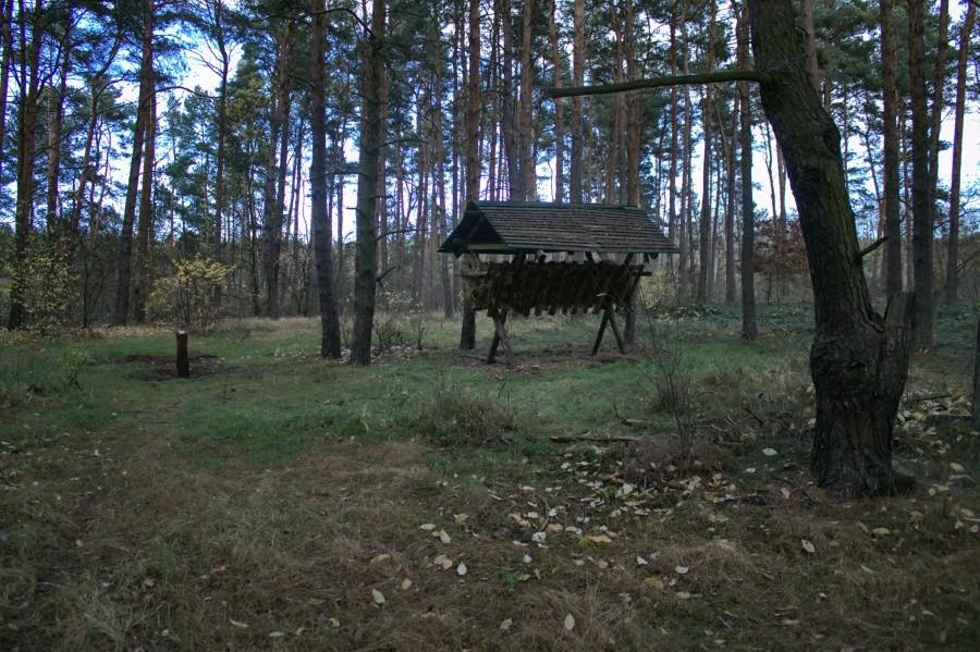 paśnik juz pełen