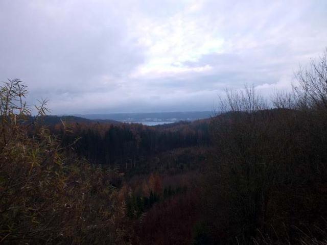 widoczek z góry