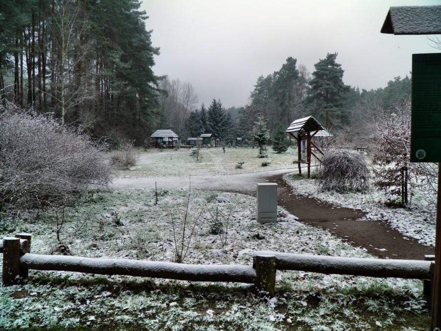 Pierwszego grudnia przy leśniczówce Białej - ul. Miodowa.