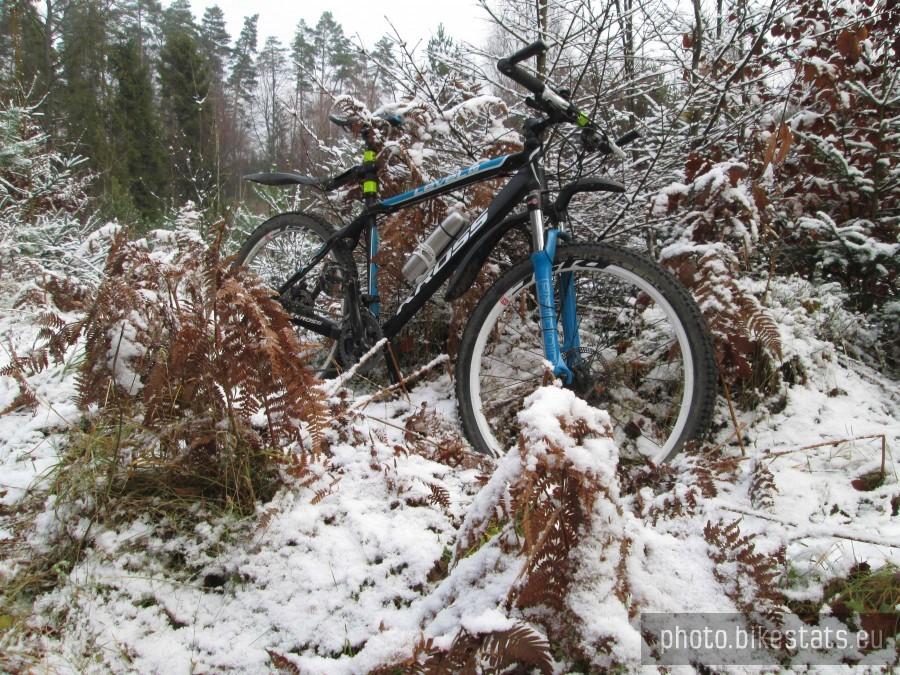 Kross Level A7 w zimowej scenerii