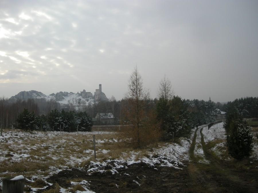 Zamek w Olsztynie